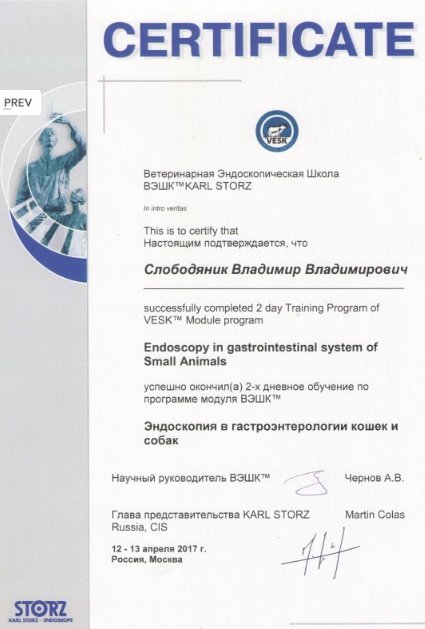 Документ или сертификат
