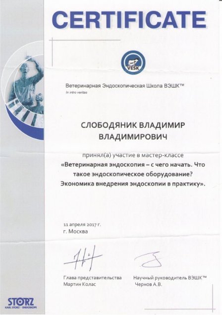 Документ или сертификат