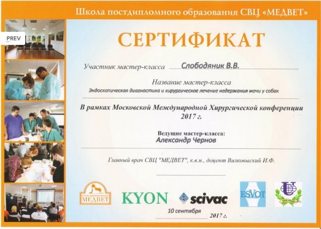 Документ или сертификат