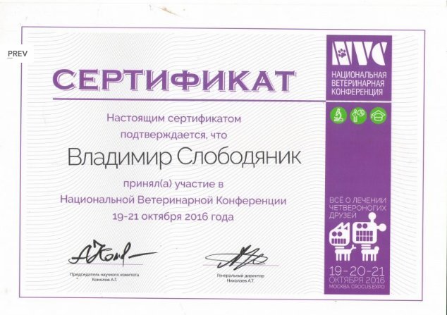 Документ или сертификат