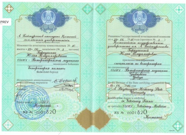 Документ или сертификат