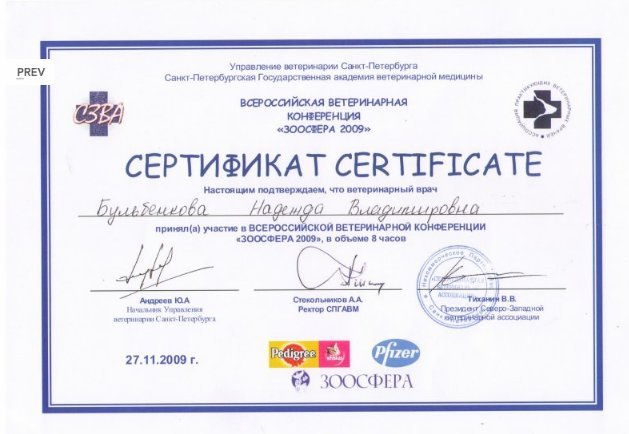 Документ или сертификат