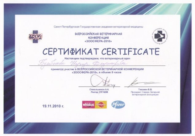 Документ или сертификат