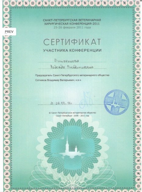 Документ или сертификат