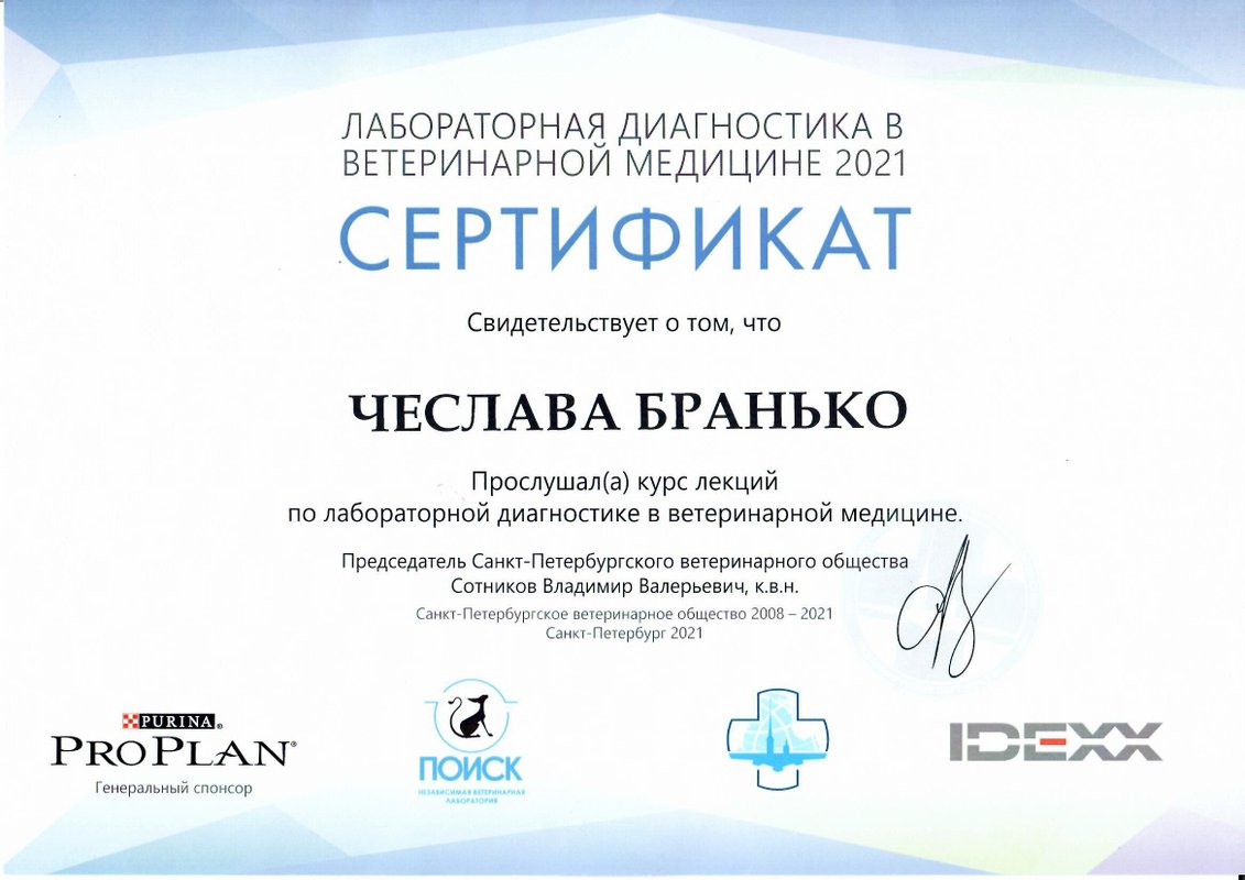 Документ или сертификат