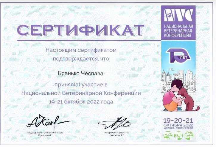 Документ или сертификат
