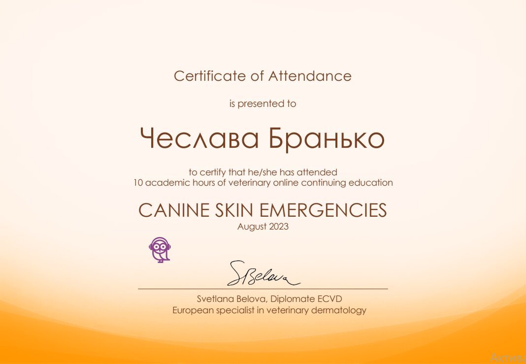 Документ или сертификат