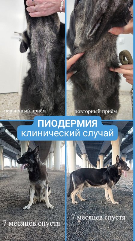 Фото врача