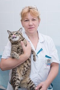 Фото врача Бажибина Елена Борисовна