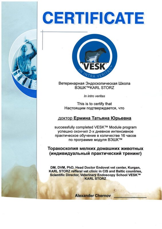 Документ или сертификат