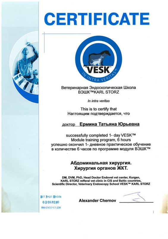 Документ или сертификат