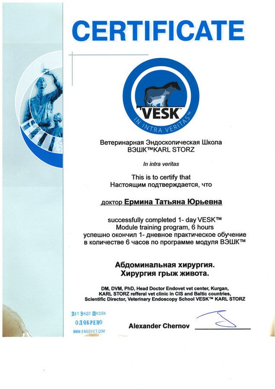 Документ или сертификат