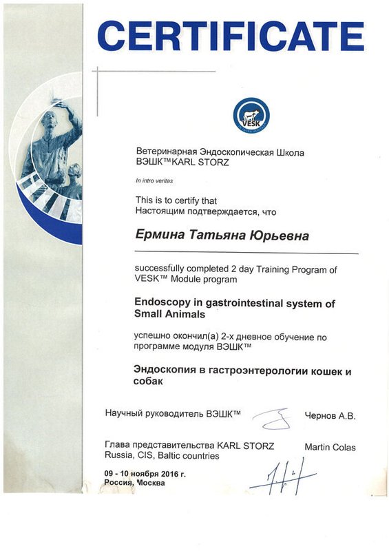 Документ или сертификат