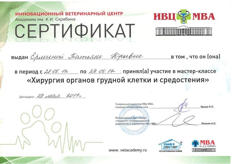 Документ или сертификат