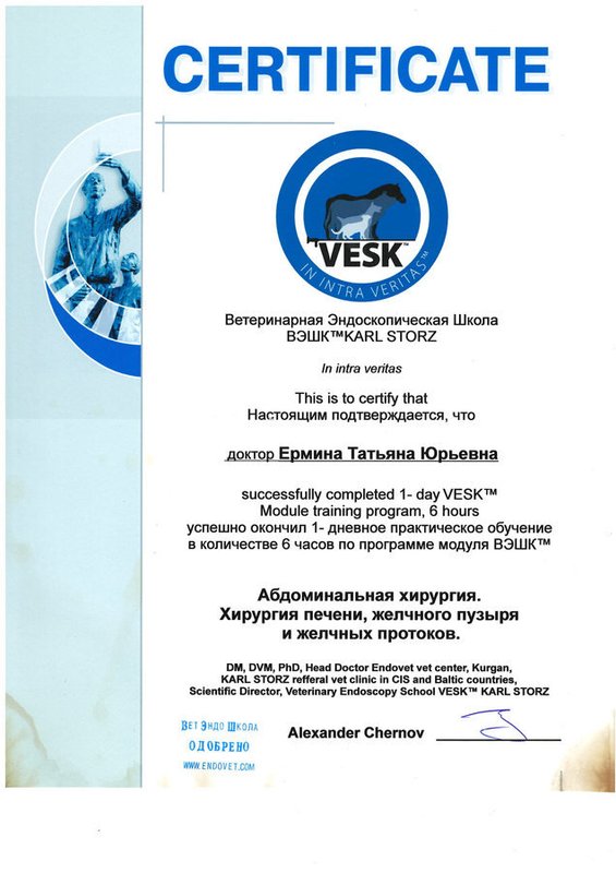 Документ или сертификат