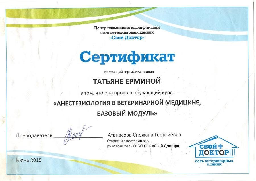 Документ или сертификат
