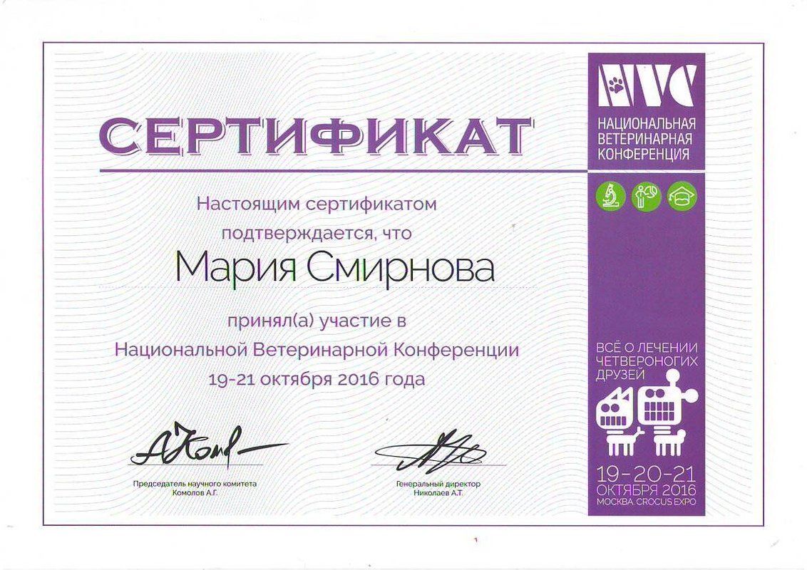 Документ или сертификат