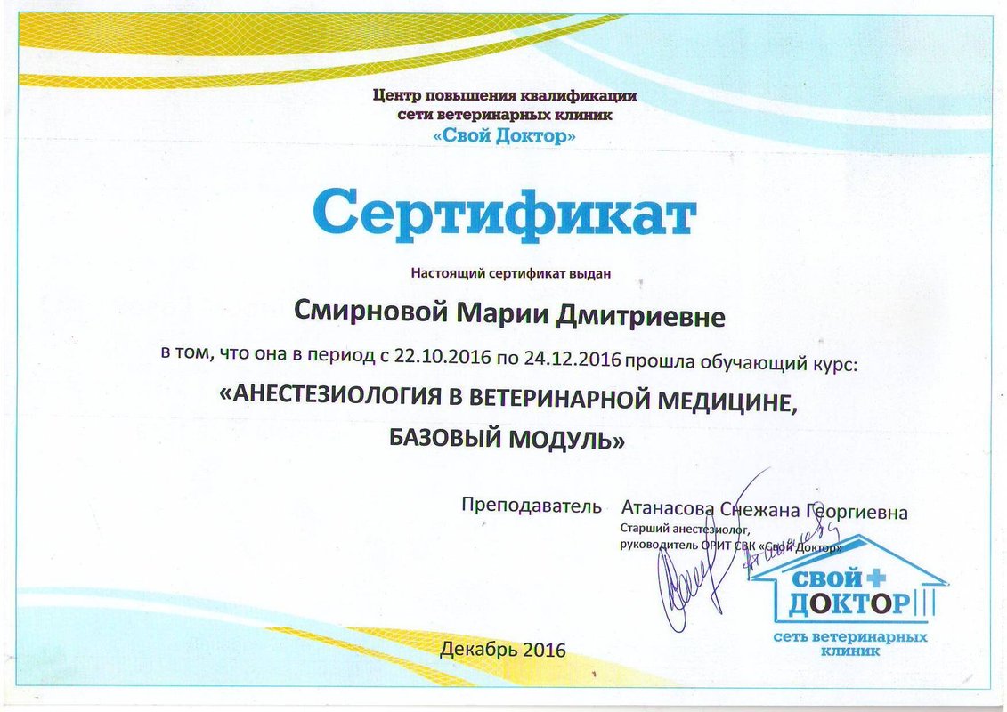 Документ или сертификат