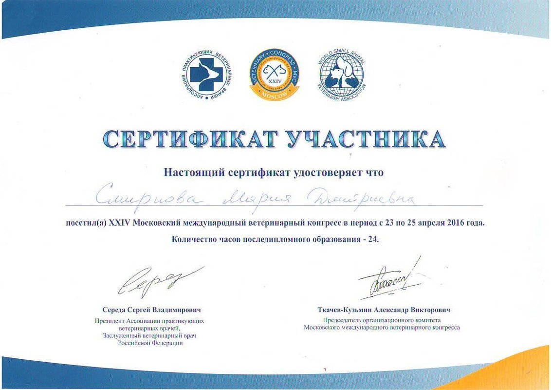 Документ или сертификат