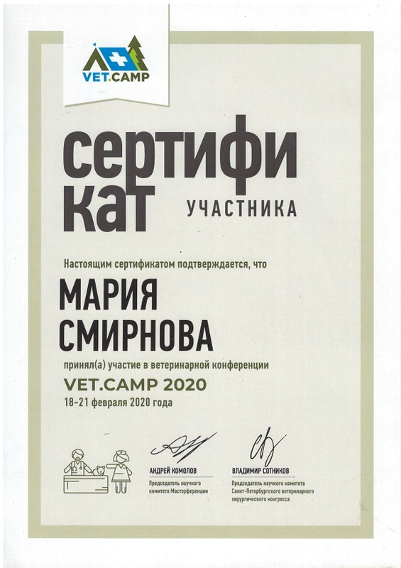 Документ или сертификат