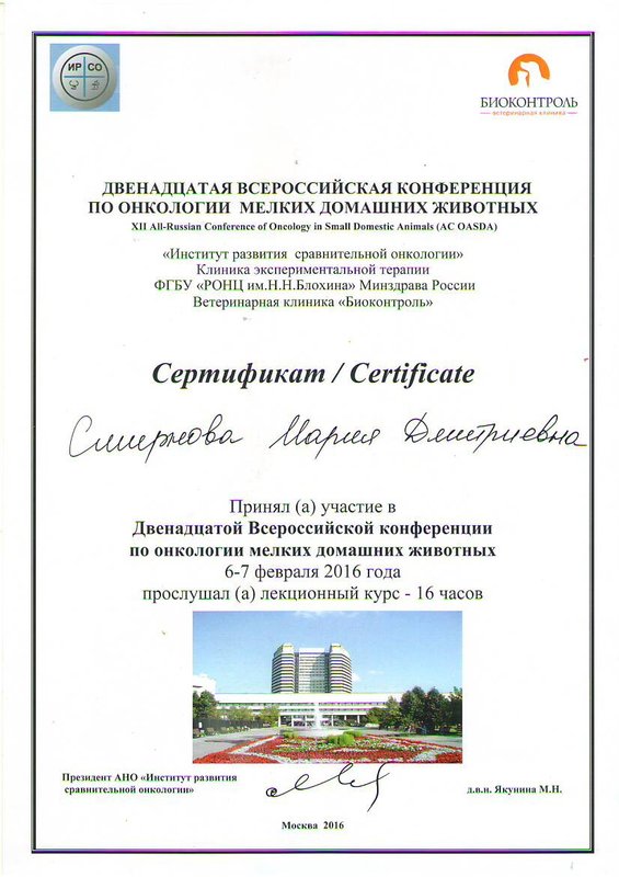 Документ или сертификат