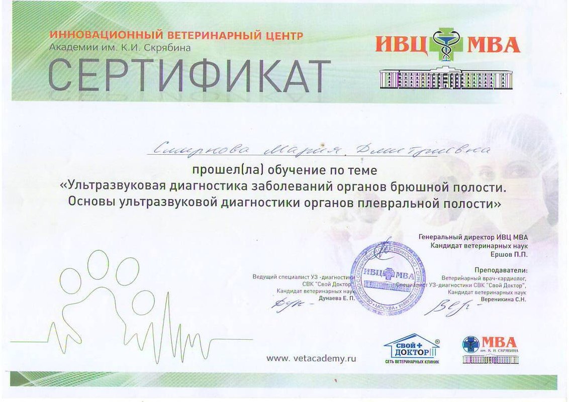 Документ или сертификат