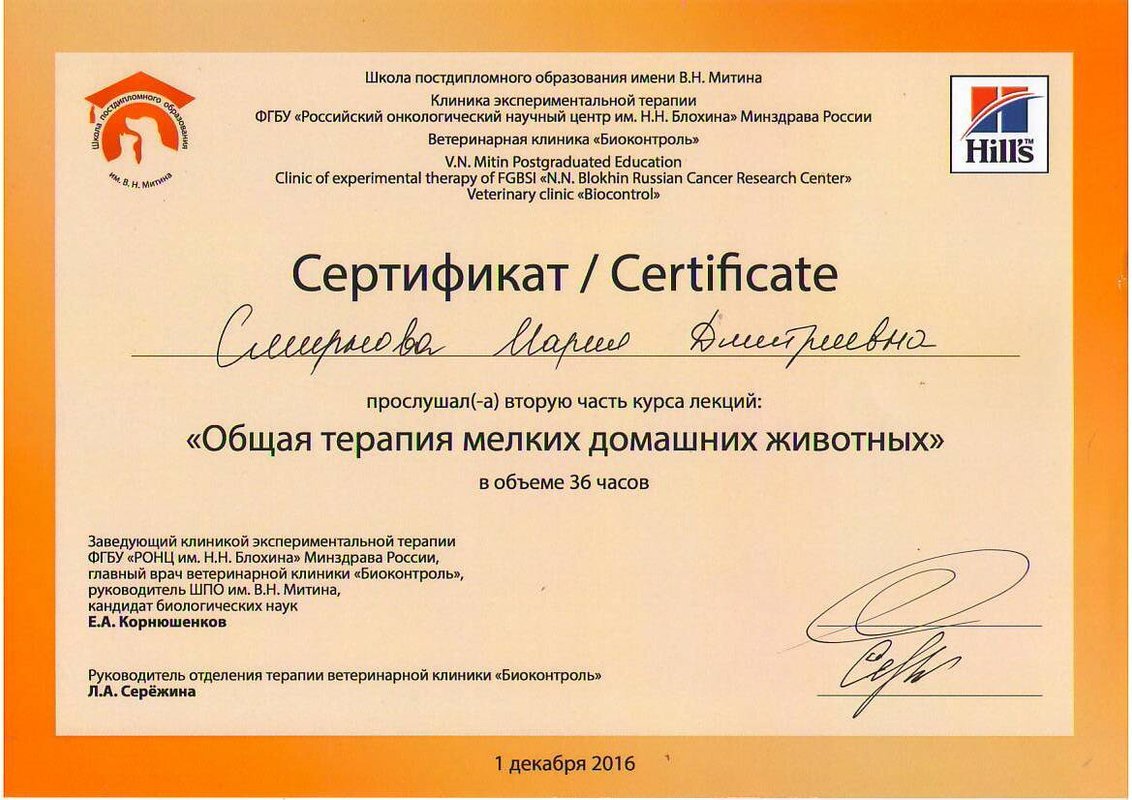 Документ или сертификат