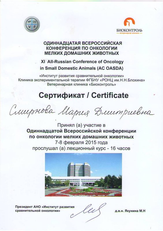 Документ или сертификат