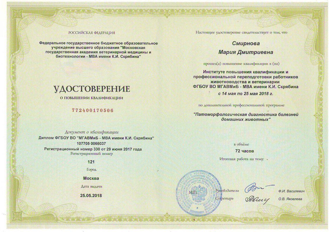 Документ или сертификат