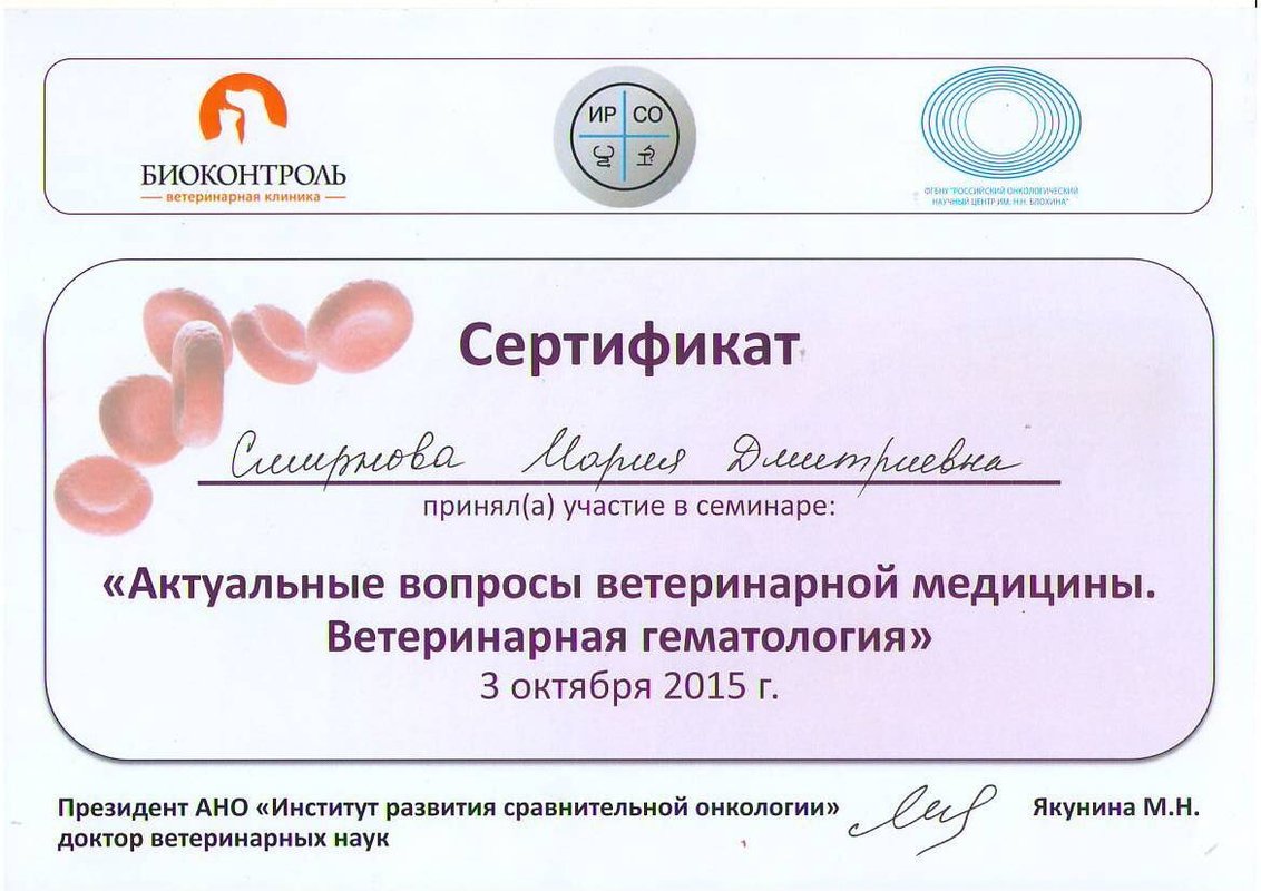 Документ или сертификат