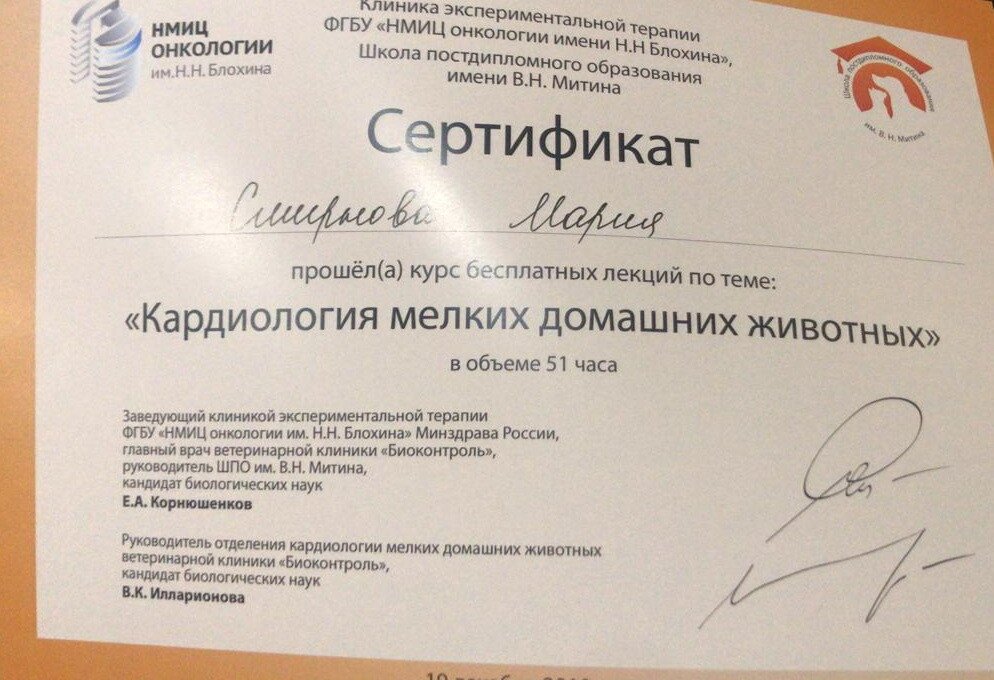 Документ или сертификат