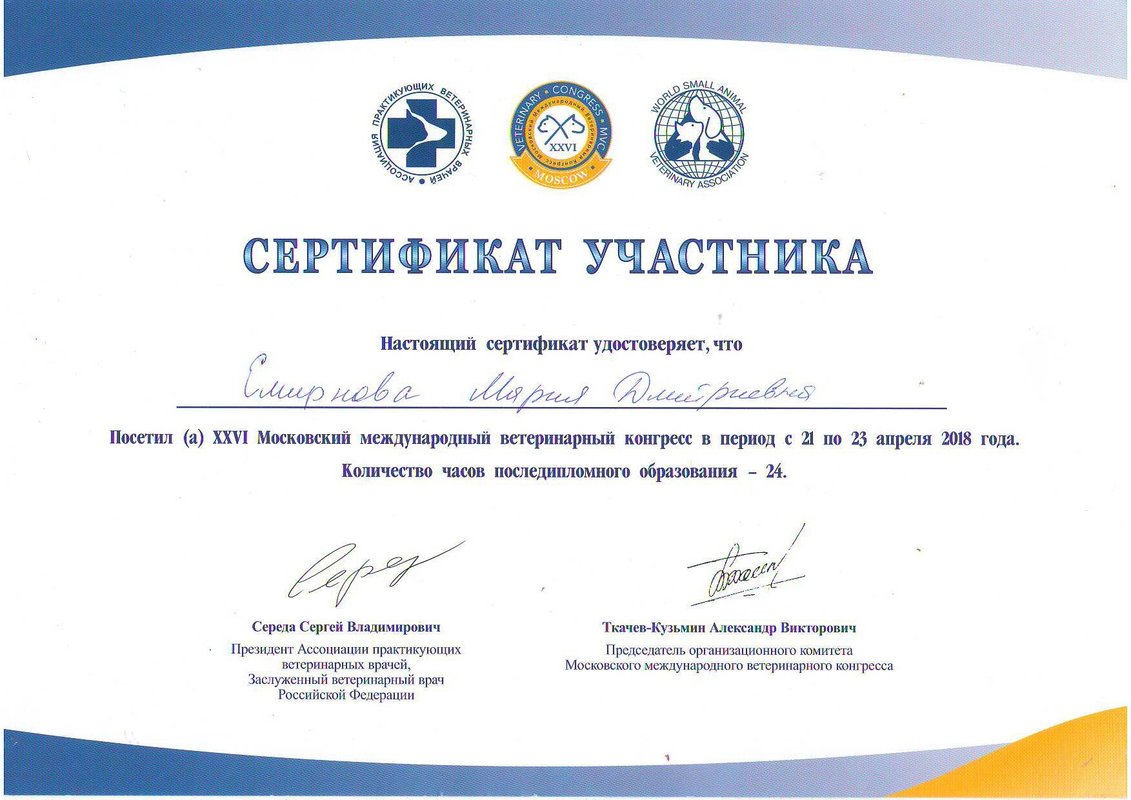 Документ или сертификат