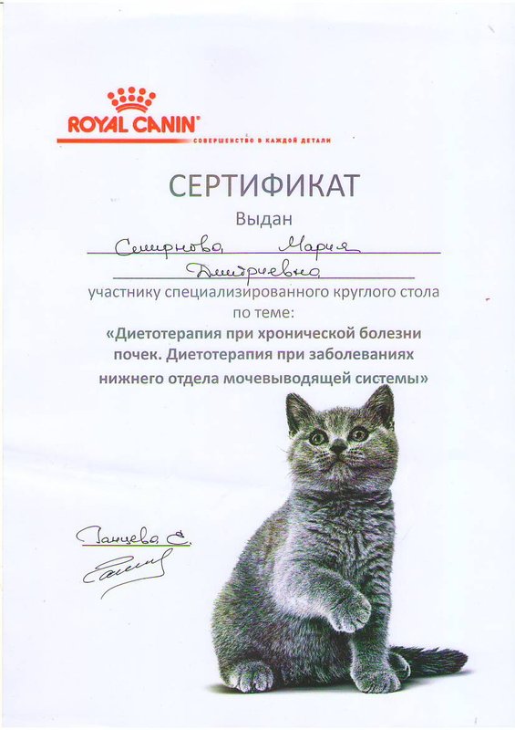Документ или сертификат