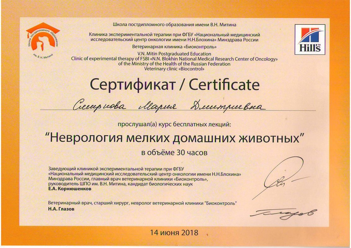Документ или сертификат
