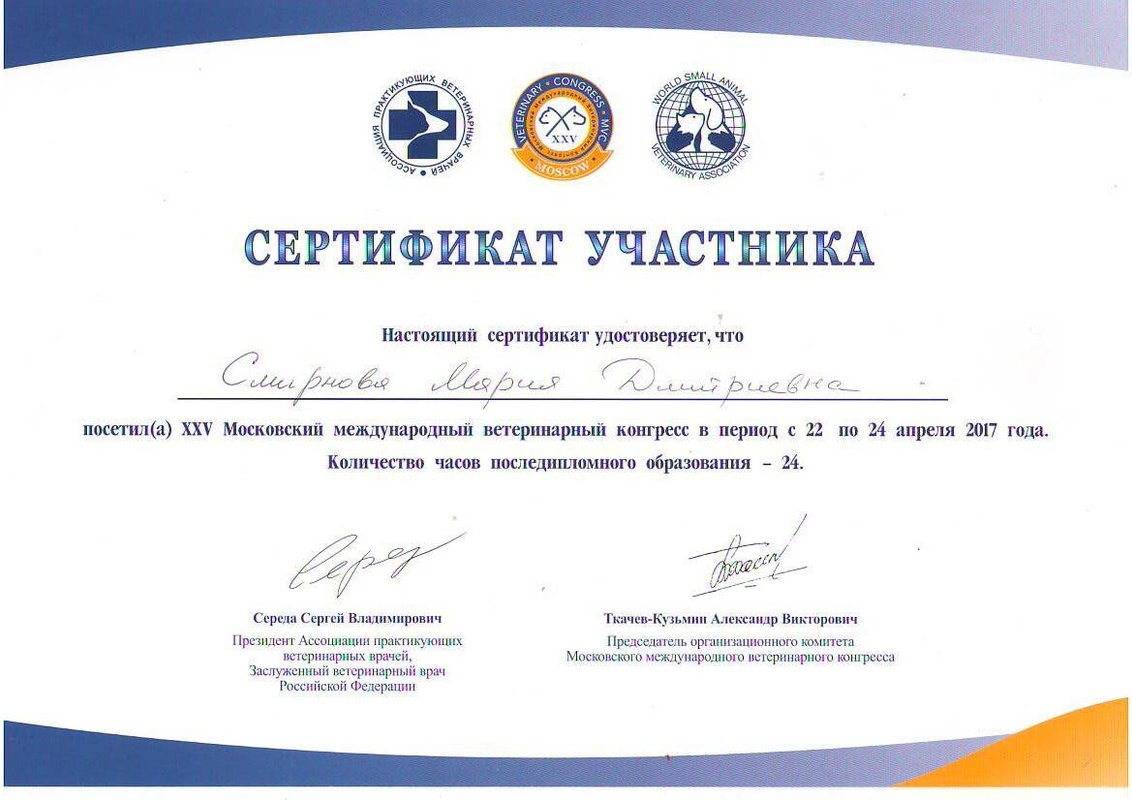 Документ или сертификат