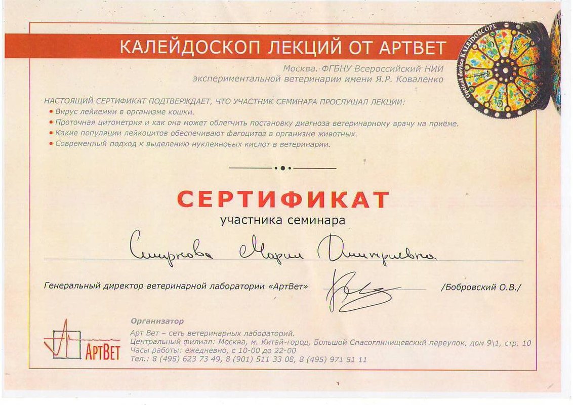 Документ или сертификат