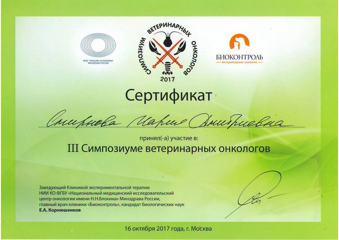 Документ или сертификат
