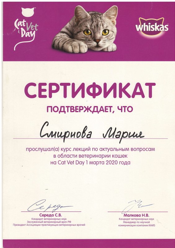 Документ или сертификат