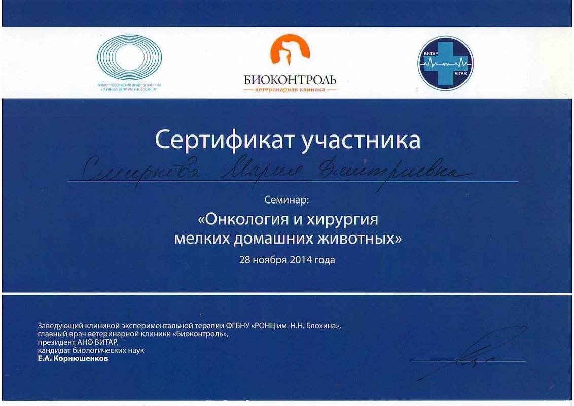 Документ или сертификат