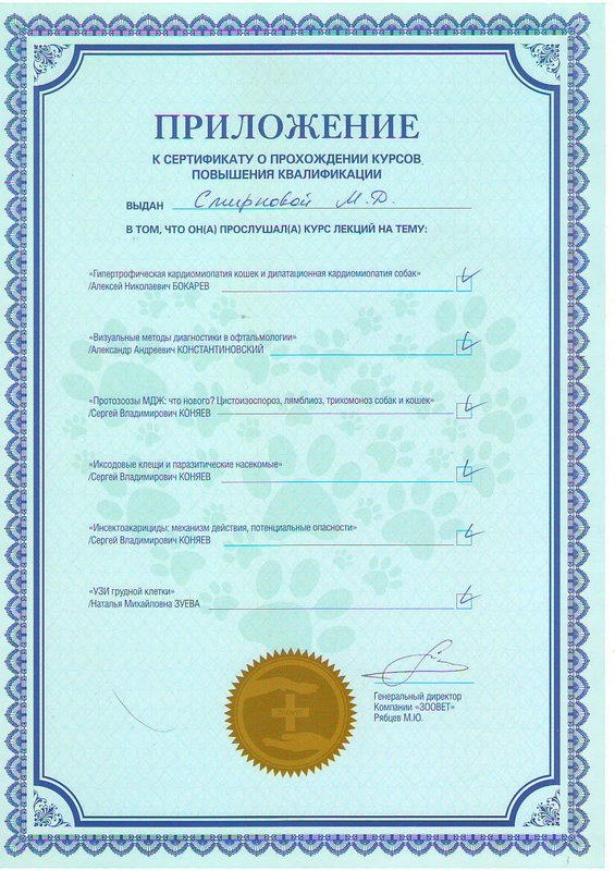 Документ или сертификат
