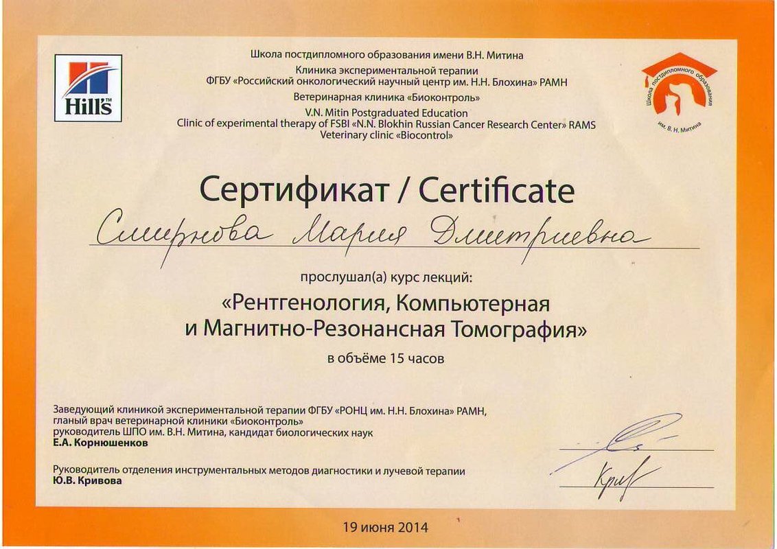 Документ или сертификат