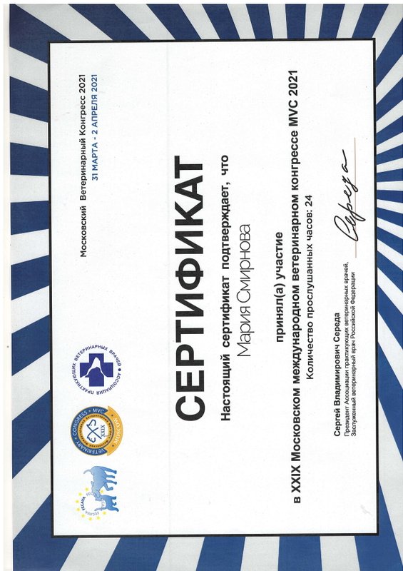 Документ или сертификат