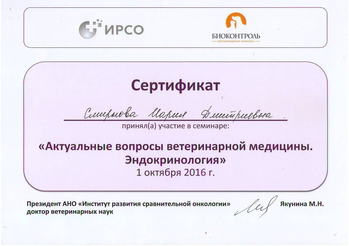 Документ или сертификат