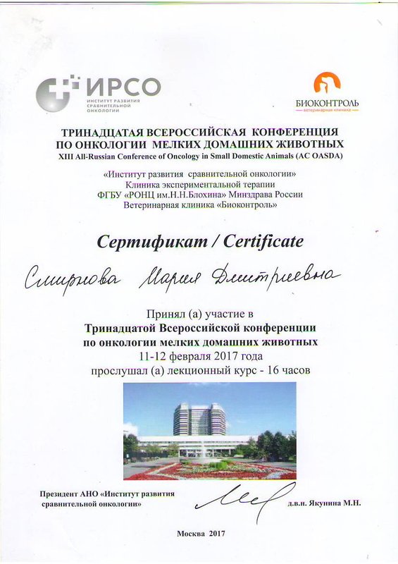 Документ или сертификат