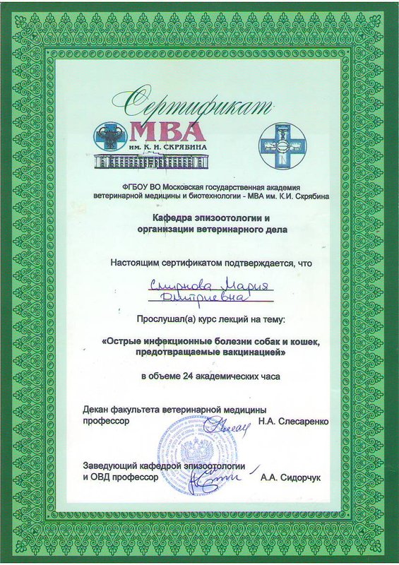 Документ или сертификат