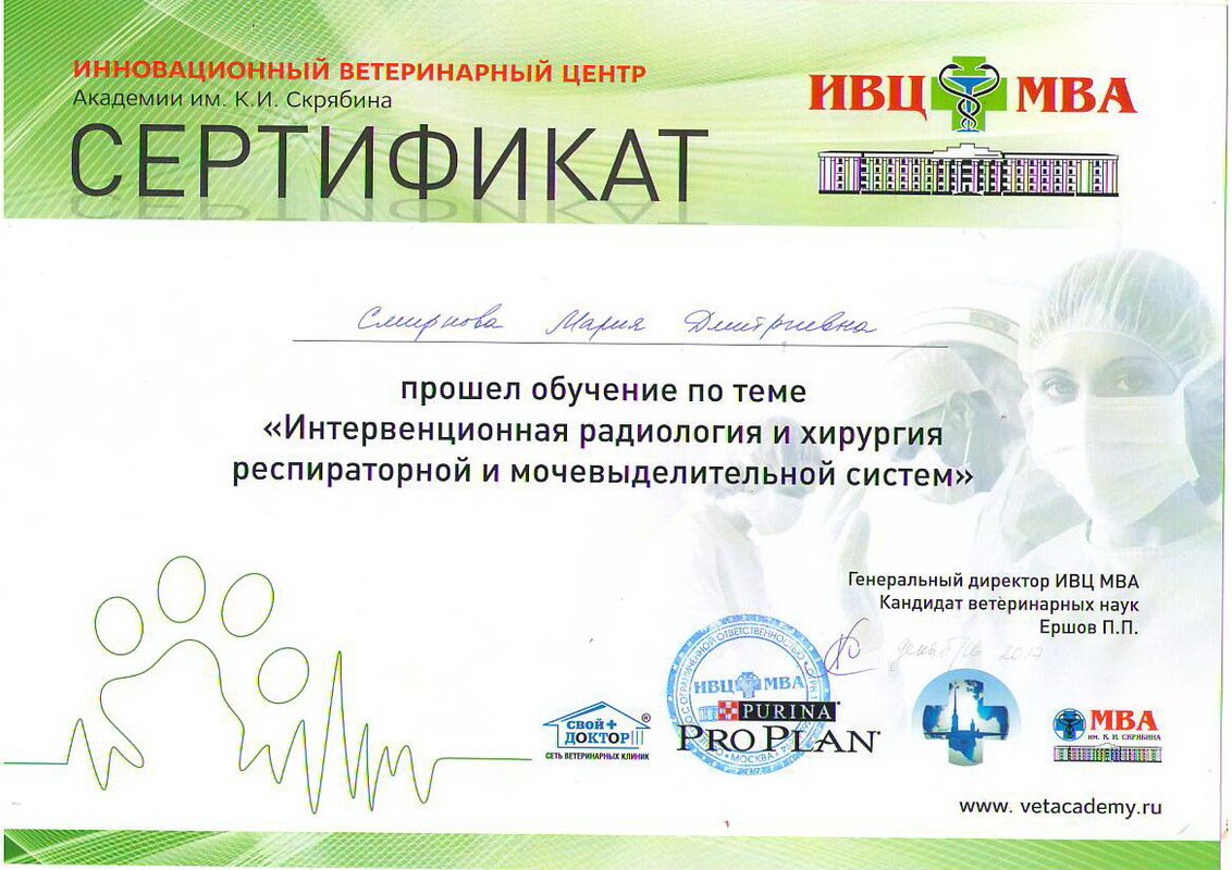 Документ или сертификат