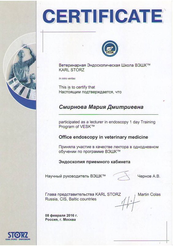 Документ или сертификат