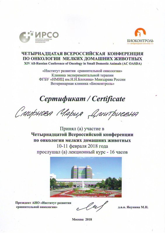 Документ или сертификат