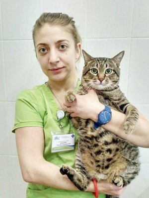 Фото врача Девянина Татьяна Александровна