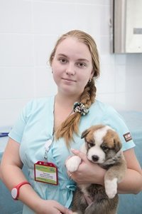 Фото врача Платонова Анастасия Олеговна